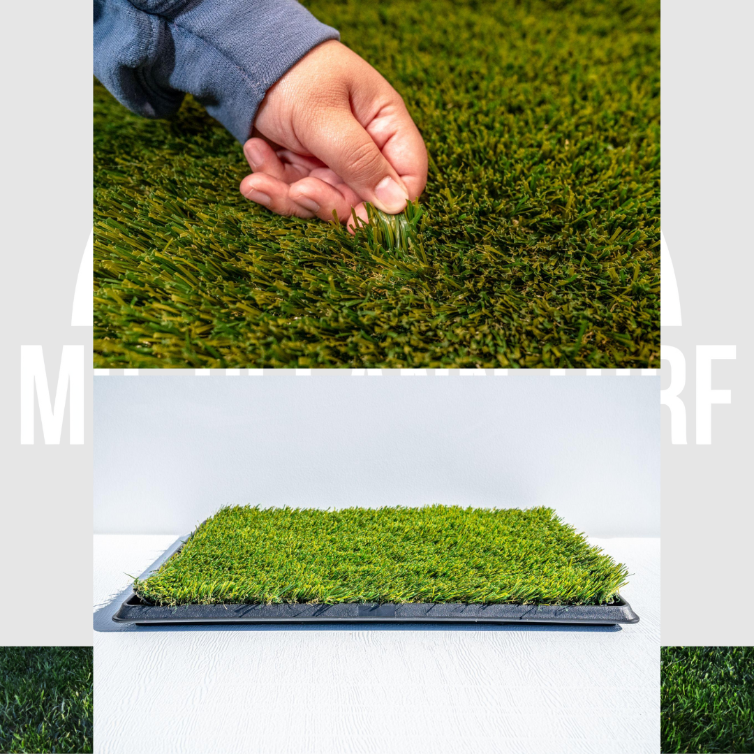 FreshPaws Portable Pet Potty – 3 Piece Dog Relief System