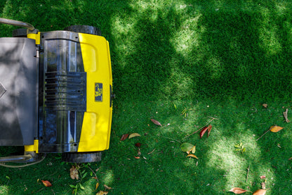 Roll & Comb 502 Electric Power Broom